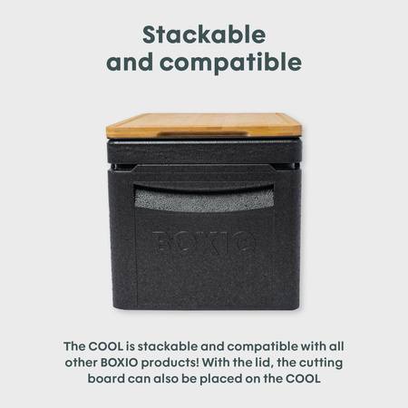 BOXIO COOL PLUS - passive Eurobox cool box with 3 COOL PACKs and ICEBAG
