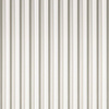 Strip Curtain