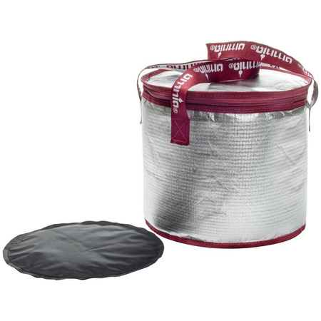Cool Bag with Ice Packs